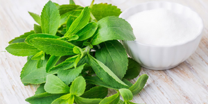 Everything You Need to Know About Stevia