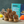 Load image into Gallery viewer, **FRESHLY MADE** Anjeer Roll by Magicleaf | 100% Natural No Sugar Dessert Sweetened With Stevia