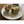 Load image into Gallery viewer, Sugarfree Kaju Anjeer Roll (16 Pcs Box) - Pack of 5 | Diwali Gifting Combo by Magicleaf
