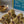 Load and play video in Gallery viewer, **FRESHLY MADE** Kaju Anjeer Roll | Natural No Sugar Dessert Sweetened With Stevia
