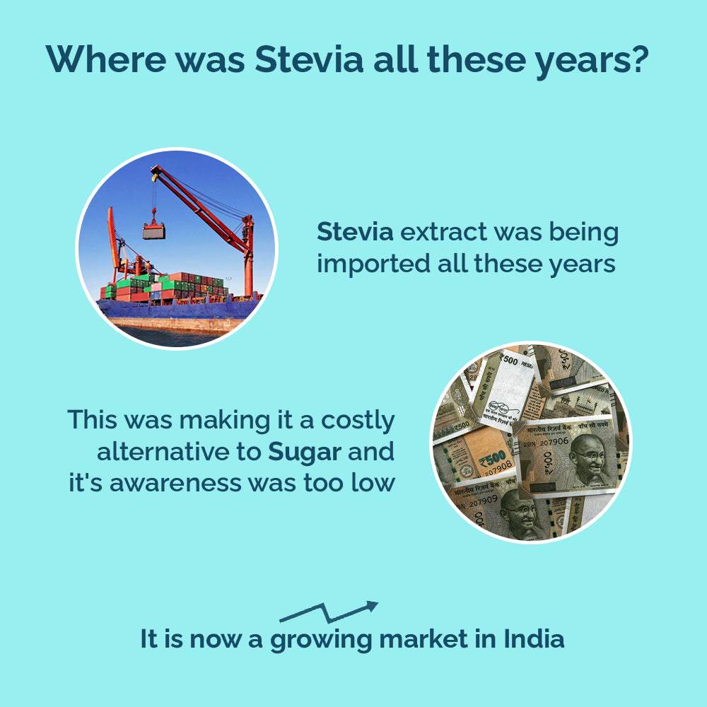 Magicleaf Himalayan Stevia Leaf Drops (30 ml) Natural Sweetener Made