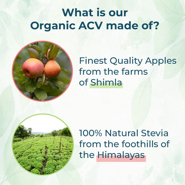 Organic Himalayan Apple Cider Vinegar with Fenugreek & Cinnamon by Magicleaf (750 ml) | Made From Shimla Apples